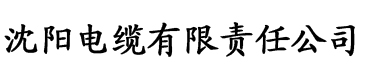 大菠萝视频导航在线电缆厂logo